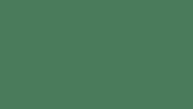 Sportski vinil Omnisports Uni Tonic Green