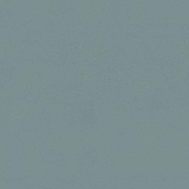 Protivklizni vinil Universal Kepler